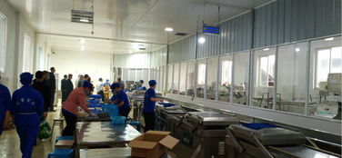 沐川县政府信息公开软件开发 提升政务透明度与便民服务效能